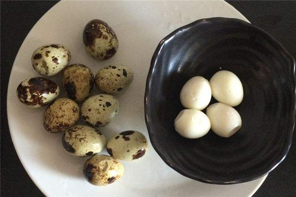 煮鵪鶉蛋要放多少水 水量不能太少 煮鵪鶉蛋要放多少水 水量不能太少
