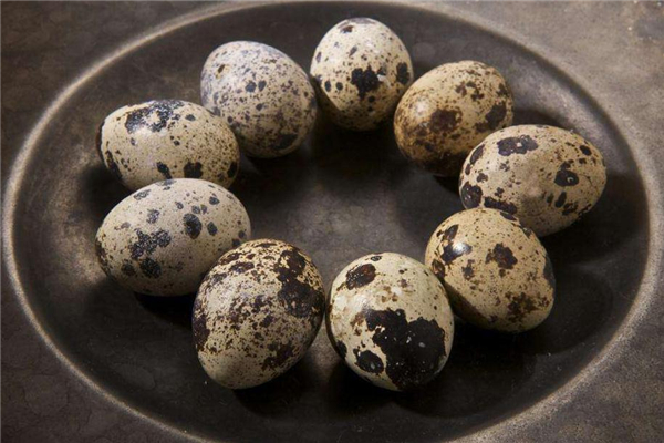 煮鵪鶉蛋可以放茶葉嗎 味道更誘人 煮鵪鶉蛋可以放茶葉嗎 味道更誘人