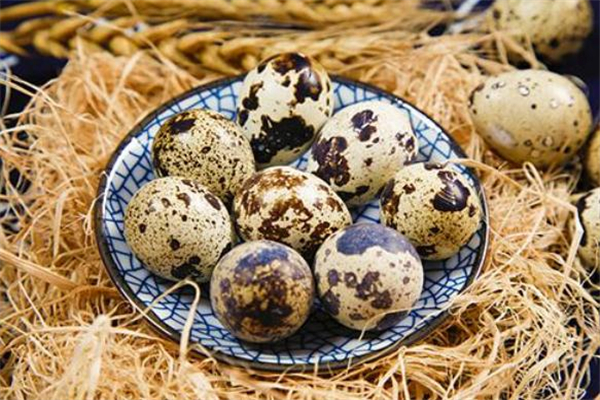 煮鵪鶉蛋用什么茶葉 茶葉煮鵪鶉蛋做法 煮鵪鶉蛋用什么茶葉 茶葉煮鵪鶉蛋做法