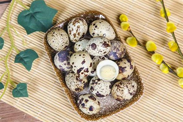 煮鵪鶉蛋用什么茶葉 茶葉煮鵪鶉蛋做法 煮鵪鶉蛋用什么茶葉 茶葉煮鵪鶉蛋做法