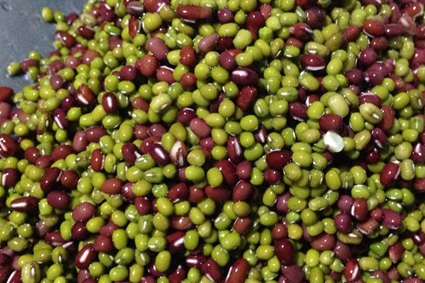 紅豆可以和綠豆一起吃嗎 紅豆和綠豆的價(jià)值 紅豆可以和綠豆一起吃嗎 紅豆和綠豆的價(jià)值