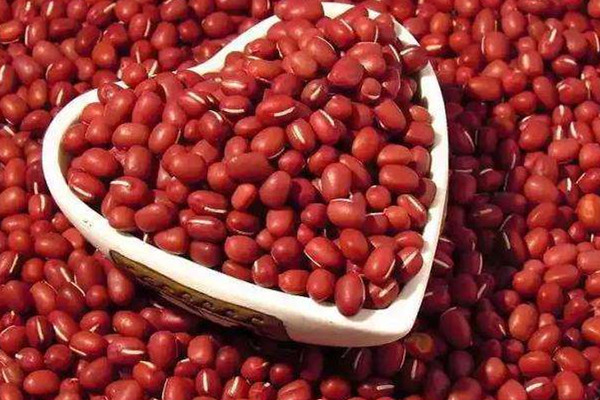 紅豆可以和綠豆一起吃嗎 紅豆和綠豆的價(jià)值 紅豆可以和綠豆一起吃嗎 紅豆和綠豆的價(jià)值