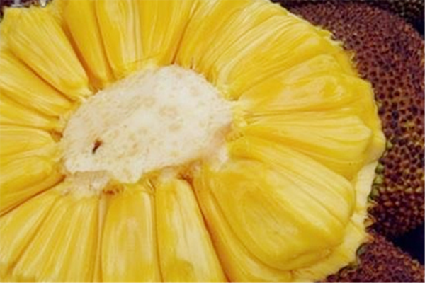 菠蘿蜜怎么剝 菠蘿蜜的功效 菠蘿蜜怎么剝 菠蘿蜜的功效