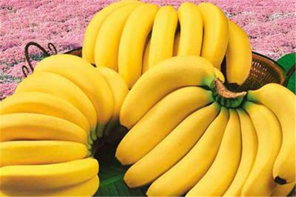 夏天吃什么水果最好 夏天吃水果的作用 夏天吃什么水果最好 夏天吃水果的作用