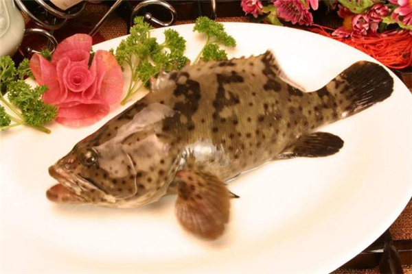 吃石斑魚(yú)可以喝酒嗎 當(dāng)心會(huì)中毒 吃石斑魚(yú)可以喝酒嗎 當(dāng)心會(huì)中毒