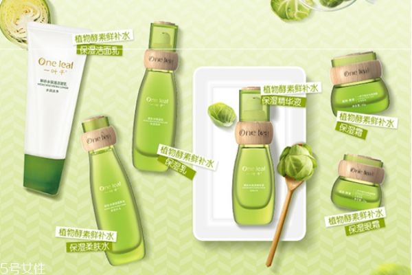 一葉子精華液怎么用 一葉子精華液作用是什么 一葉子精華液怎么用 一葉子精華液作用是什么