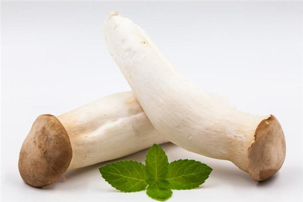 雞腿菇怎么涼拌好吃 涼拌雞腿菇的做法 雞腿菇怎么涼拌好吃 涼拌雞腿菇的做法