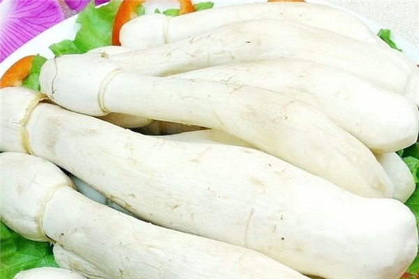 坐月子可以吃雞腿菇嗎 補(bǔ)充蛋白質(zhì) 坐月子可以吃雞腿菇嗎 補(bǔ)充蛋白質(zhì)