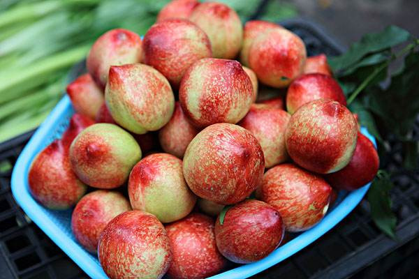 油桃的營(yíng)養(yǎng)價(jià)值是什么 油桃的作用 油桃的營(yíng)養(yǎng)價(jià)值是什么 油桃的作用