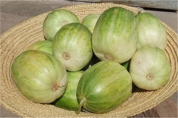 香瓜可以和豆奶一起吃嗎 香瓜怎么吃 香瓜可以和豆奶一起吃嗎 香瓜怎么吃