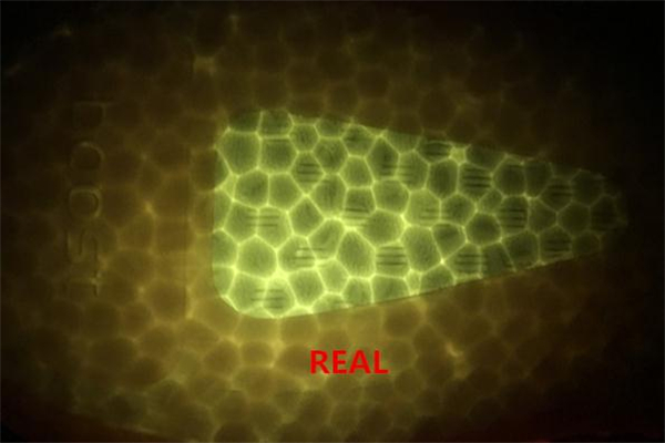 yeezy 350美洲限定真假 椰子350美洲限定真假對比 yeezy 350美洲限定真假 椰子350美洲限定真假對比