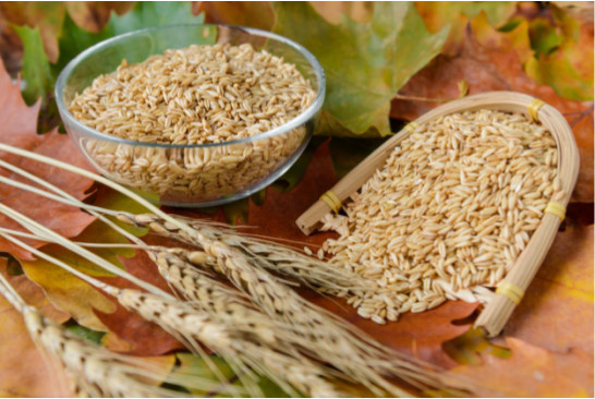 身體差怎么補？雜糧、豆類和湯臣倍健蛋白粉