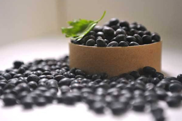 黑豆為什么治脫發(fā) 黑豆治脫發(fā)原因 黑豆為什么治脫發(fā) 黑豆治脫發(fā)原因