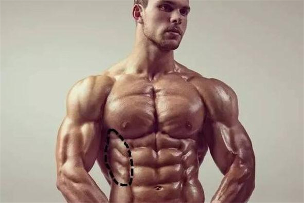 鯊魚線怎么練 鯊魚線練什么動作 鯊魚線怎么練 鯊魚線練什么動作