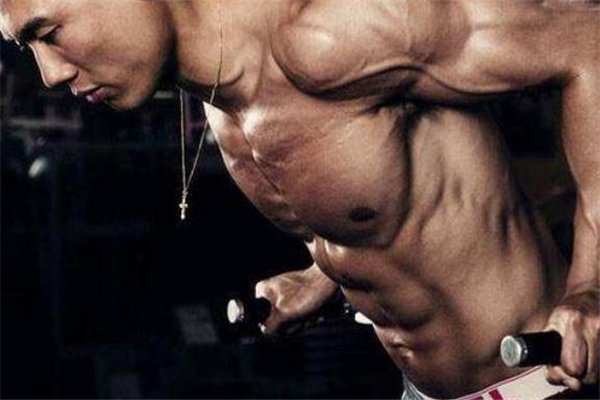 鯊魚線怎么練 鯊魚線練什么動作 鯊魚線怎么練 鯊魚線練什么動作