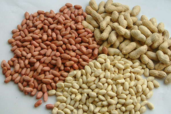 鹽水煮花生的做法是什么 鹽水煮花生這樣做 鹽水煮花生的做法是什么 鹽水煮花生這樣做