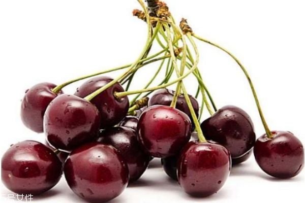 車?yán)遄釉趺闯宰钣袪I(yíng)養(yǎng) 車?yán)遄拥牟煌苑?><p><strong>車?yán)遄釉趺闯宰钣袪I(yíng)養(yǎng) 車?yán)遄拥牟煌苑?/strong></p></a></li> 	     </ul>
		</div>
	   <div   id=