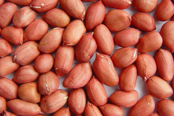 花生可以做什么好吃的 花生可以這樣吃 花生可以做什么好吃的 花生可以這樣吃