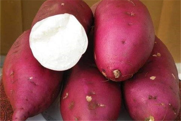 花生可以和紅薯一起吃嗎 花生可以怎么吃 花生可以和紅薯一起吃嗎 花生可以怎么吃