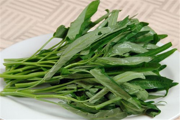 空心菜可以和西紅柿一起吃嗎 空心菜的吃法 空心菜可以和西紅柿一起吃嗎 空心菜的吃法