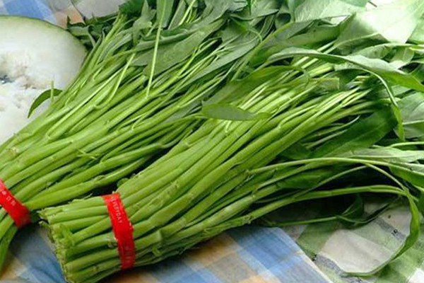 空心菜可以和西紅柿一起吃嗎 空心菜的吃法 空心菜可以和西紅柿一起吃嗎 空心菜的吃法