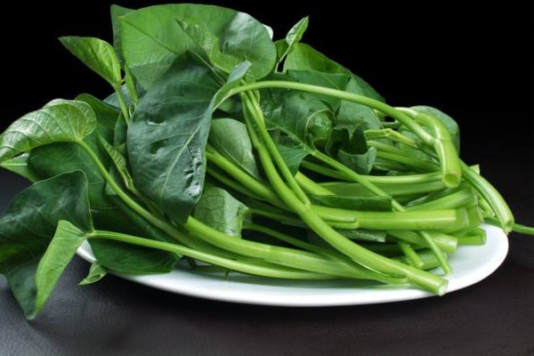 空心菜為什么不能多吃 空心菜的作用 空心菜為什么不能多吃 空心菜的作用