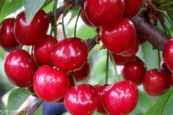 車?yán)遄拥暮擞卸締?車?yán)遄雍送踢M(jìn)去了怎么辦 車?yán)遄拥暮擞卸締?車?yán)遄雍送踢M(jìn)去了怎么辦