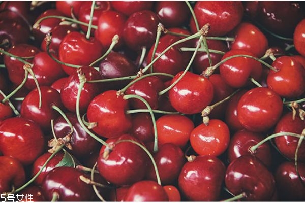 車?yán)遄邮裁磿r(shí)候上市 車?yán)遄映墒旒竟?jié) 車?yán)遄邮裁磿r(shí)候上市 車?yán)遄映墒旒竟?jié)