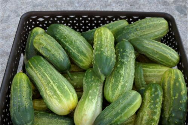 吃什么蔬菜最補血 蔬菜這樣吃補血