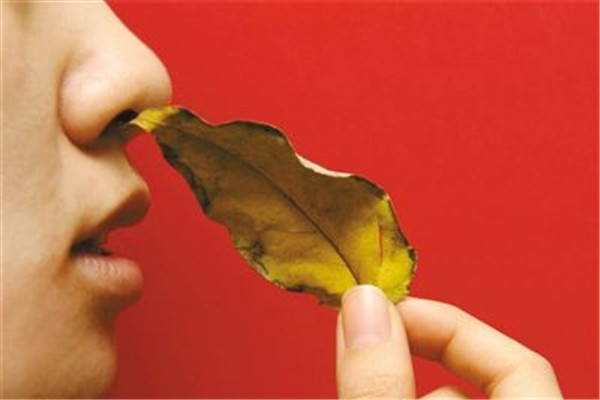 鼻子不停打噴嚏怎么辦 解決方法是這樣 鼻子不停打噴嚏怎么辦 解決方法是這樣