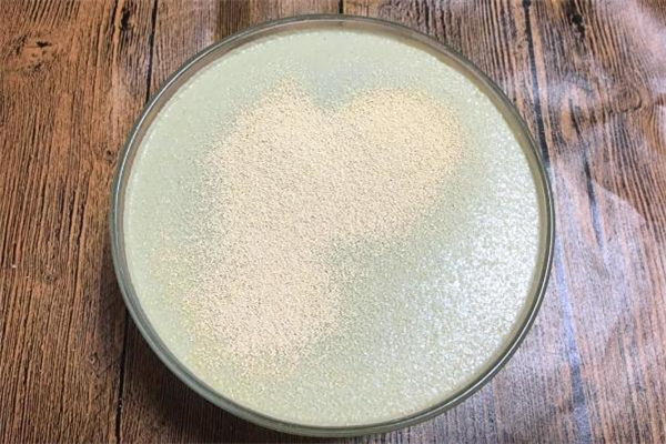 酵母粉發(fā)面的做法 發(fā)面小技巧 酵母粉發(fā)面的做法 發(fā)面小技巧