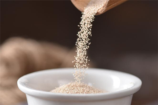 酵母粉什么牌子好 酵母粉品牌推薦 酵母粉什么牌子好 酵母粉品牌推薦