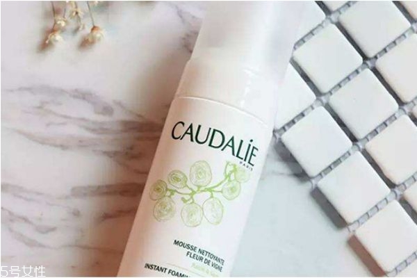 歐緹麗洗面奶怎么使用 歐緹麗洗面奶適合什么膚質(zhì) 歐緹麗洗面奶怎么使用 歐緹麗洗面奶適合什么膚質(zhì)