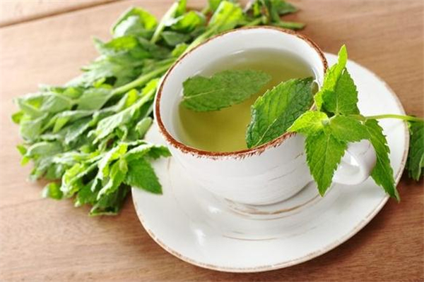 薄荷茶能治療打呼嚕嗎 可以緩解一些 薄荷茶能治療打呼嚕嗎 可以緩解一些