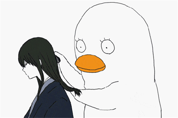 植發(fā)之后會(huì)掉嗎 植發(fā)之后怎么維護(hù) 植發(fā)之后會(huì)掉嗎 植發(fā)之后怎么維護(hù)