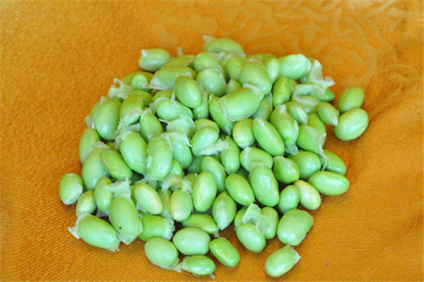 毛豆可以和蝦一起吃嗎 毛豆的好吃是什么 毛豆可以和蝦一起吃嗎 毛豆的好吃是什么