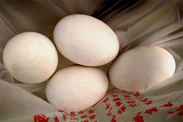 鵝蛋什么人不能吃 哪些人不適合吃鵝蛋 鵝蛋什么人不能吃 哪些人不適合吃鵝蛋