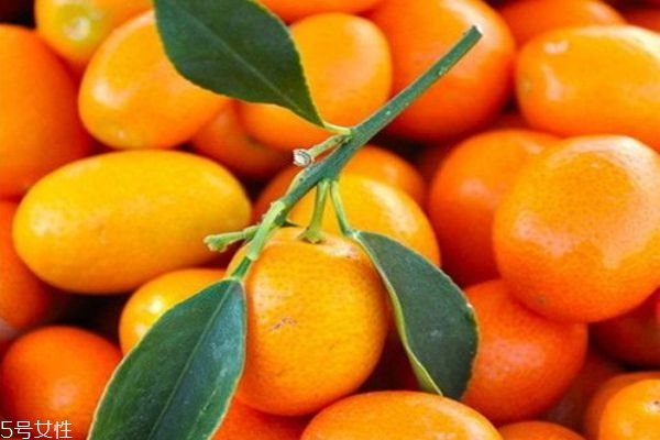 金桔怎么吃最營養(yǎng) 金桔的功效與禁忌 金桔怎么吃最營養(yǎng) 金桔的功效與禁忌