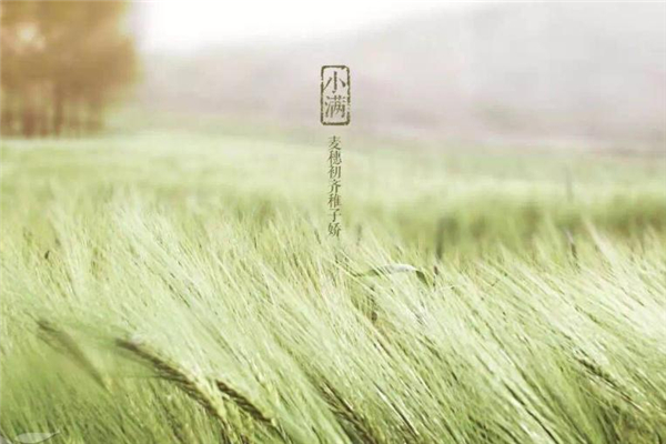 小滿有什么民俗活動(dòng) 小滿節(jié)氣的民俗 小滿有什么民俗活動(dòng) 小滿節(jié)氣的民俗