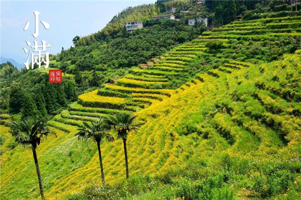 小滿之后為什么沒(méi)有大滿 原來(lái)是這樣