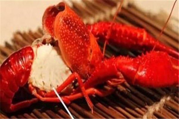 龍蝦的吃法有哪些 龍蝦的吃法是什么 龍蝦的吃法有哪些 龍蝦的吃法是什么