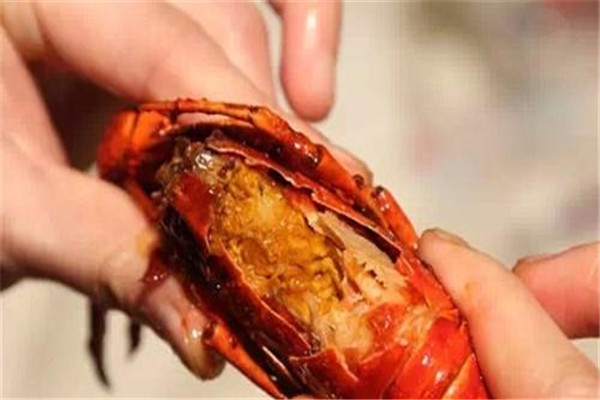 龍蝦不能和什么食物一起吃 龍蝦的禁忌 龍蝦不能和什么食物一起吃 龍蝦的禁忌