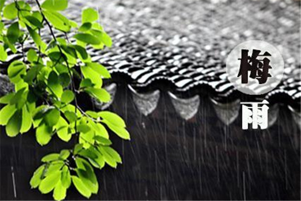 梅雨季節(jié)怎么防潮 梅雨季節(jié)防潮的方法 梅雨季節(jié)怎么防潮 梅雨季節(jié)防潮的方法