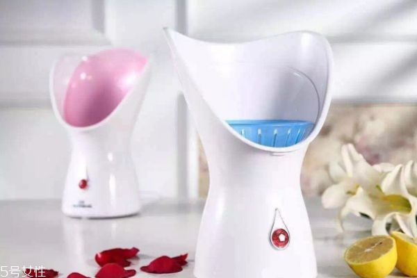 蒸臉器有必要買嗎 蒸臉器的好處和壞處 蒸臉器有必要買嗎 蒸臉器的好處和壞處