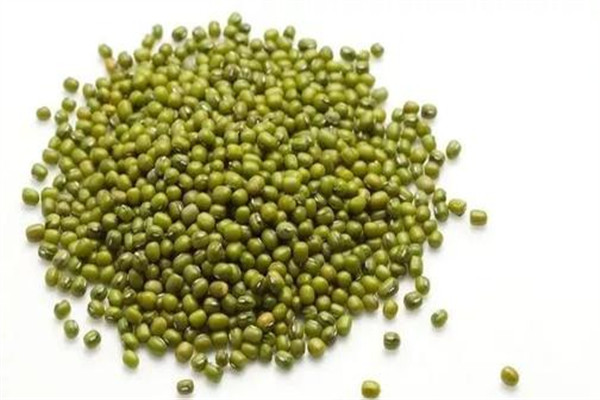 綠豆稀飯可以減肥嗎 綠豆稀飯的好處 綠豆稀飯可以減肥嗎 綠豆稀飯的好處