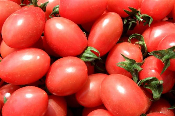 圣女果能和鳳梨一起吃嗎 有益營(yíng)養(yǎng)吸收 圣女果能和鳳梨一起吃嗎 有益營(yíng)養(yǎng)吸收