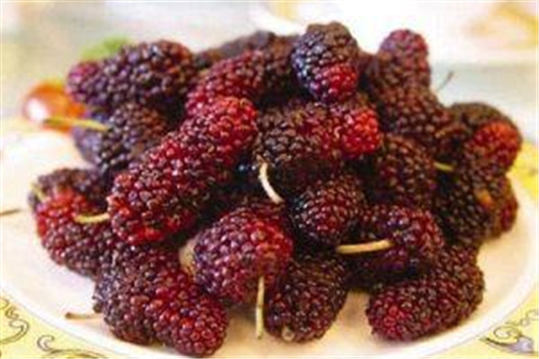 桑葚一般怎么吃 桑葚怎么吃最好 桑葚一般怎么吃 桑葚怎么吃最好