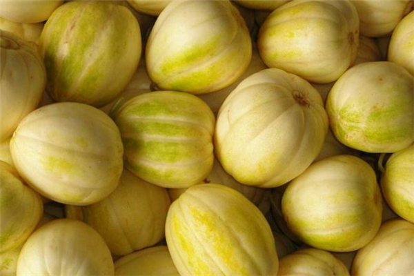 香瓜是什么季節(jié)的水果 香瓜什么時候上市 香瓜是什么季節(jié)的水果 香瓜什么時候上市