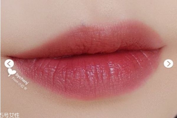 肥牛色口紅有哪些 肥牛色口紅大集合 肥牛色口紅有哪些 肥牛色口紅大集合