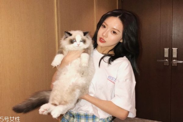 鼻子整容后遺癥有哪些 鼻子整形后遺癥 鼻子整容后遺癥有哪些 鼻子整形后遺癥